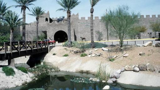 New exhibit opening Saturday at Tucson's International Wildlife Museum